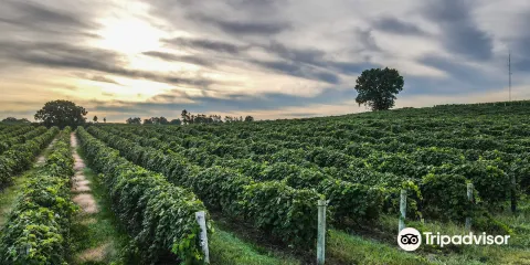 Leigh's Garden Winery