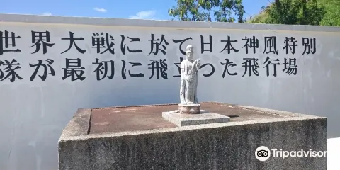 Kamikaze West Airfield