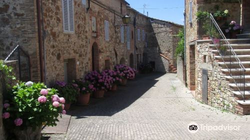 Antiquarium di Poggio Civitate Museo Archeologico