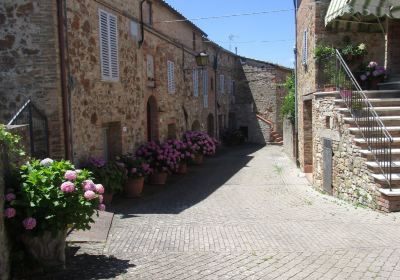 Antiquarium di Poggio Civitate