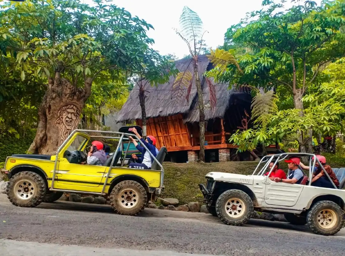 Hotel dekat Kebun Teh Nglinggo