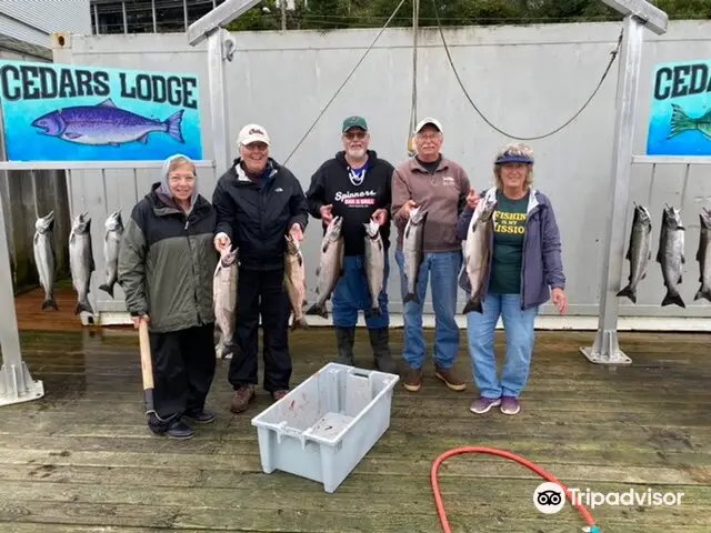 The Bites On Fishing Charters