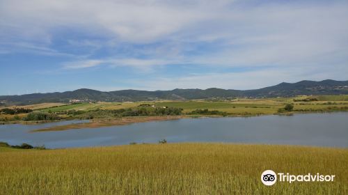 Riserva Naturale Regionale Lago di Santa Luce