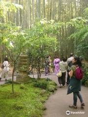 Hokokuji Bamboo Forest