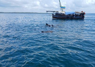 Shimoni
