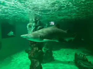 Theme Park Marine Aquarium GmbH