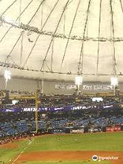 Tropicana Field