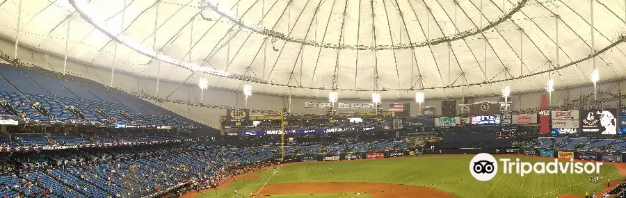 Tropicana Field