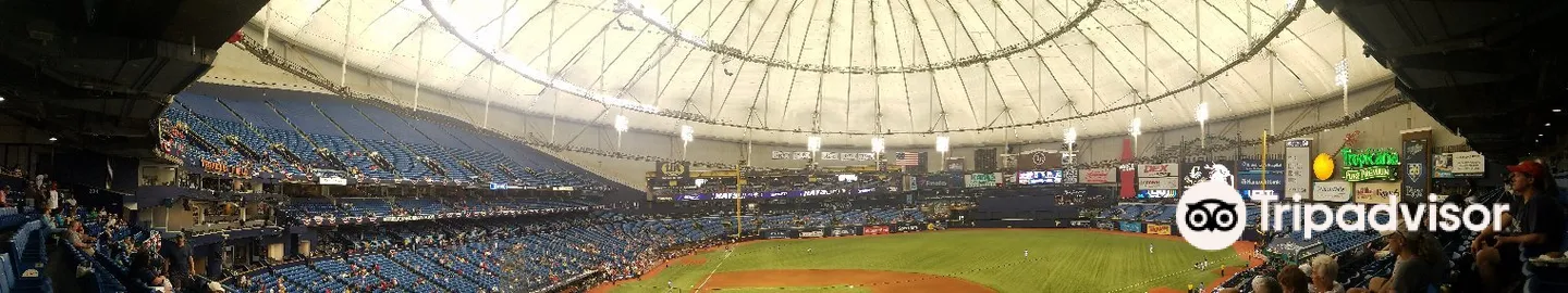 4_Tropicana Field