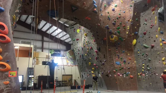 Vertical Rock Climbing & Fitness Center