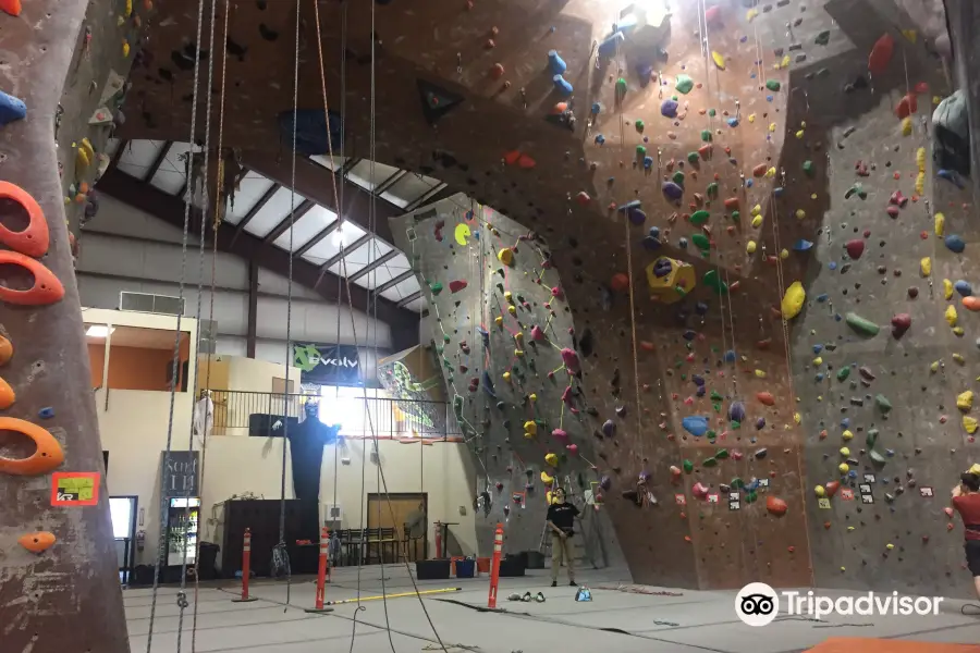 Vertical Rock Climbing & Fitness Center