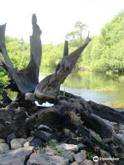 Bog Oak Sculpture