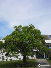 FUKUYAMA UNIVERSITY - Marine Bio Center Aquarium