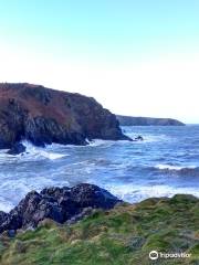 Pembrokeshire Coast National Park Authority