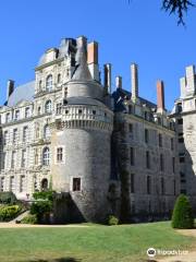 Chateau de Brissac