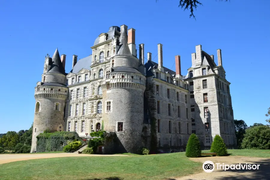 Chateau de Brissac