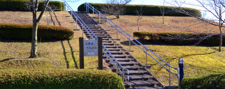 Sanrizuka Sakura-no-Oka (Cherry Blossom Hill)