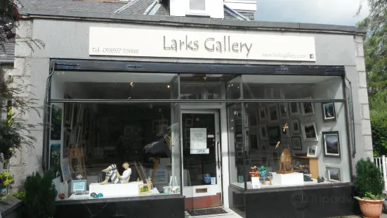 Larks Gallery