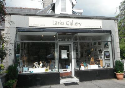 Larks Gallery