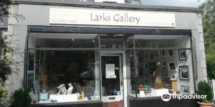Larks Gallery