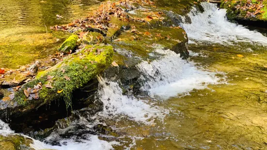 Short Springs Natural Area