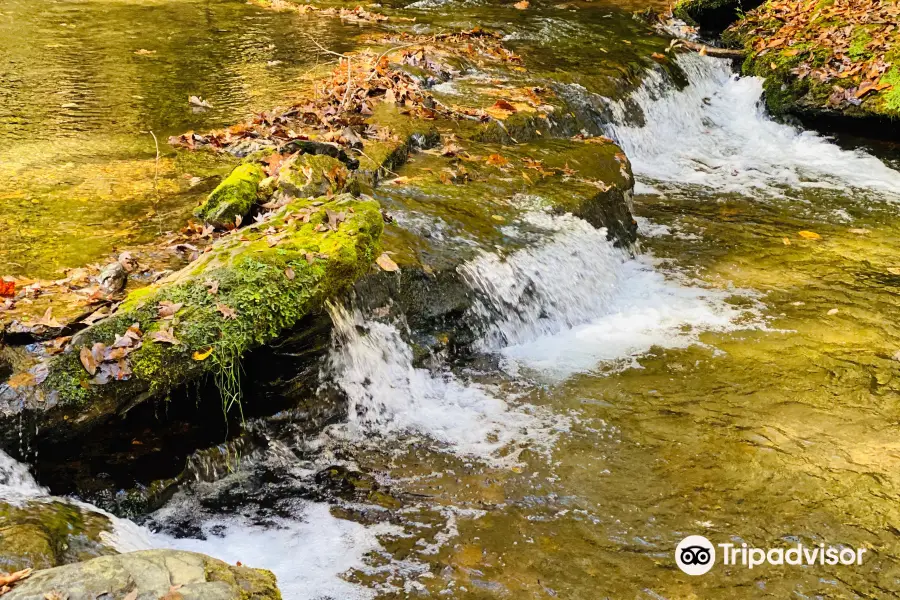 Short Springs Natural Area