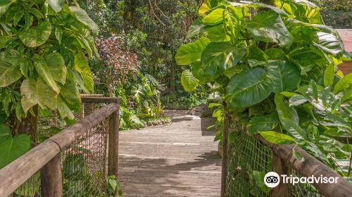 Parc des Mamelles, le Zoo de Guadeloupe