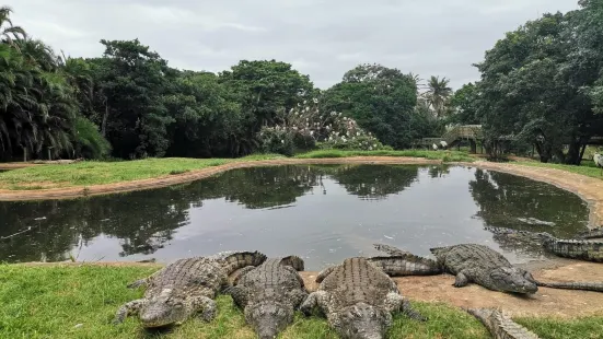 Crocworld Conservation Centre