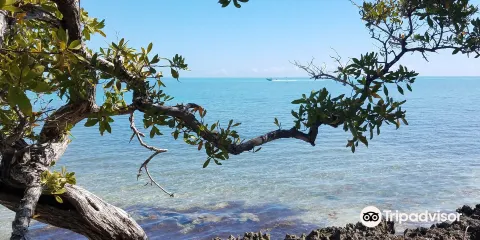 Lignumvitae Key Botanical State Park