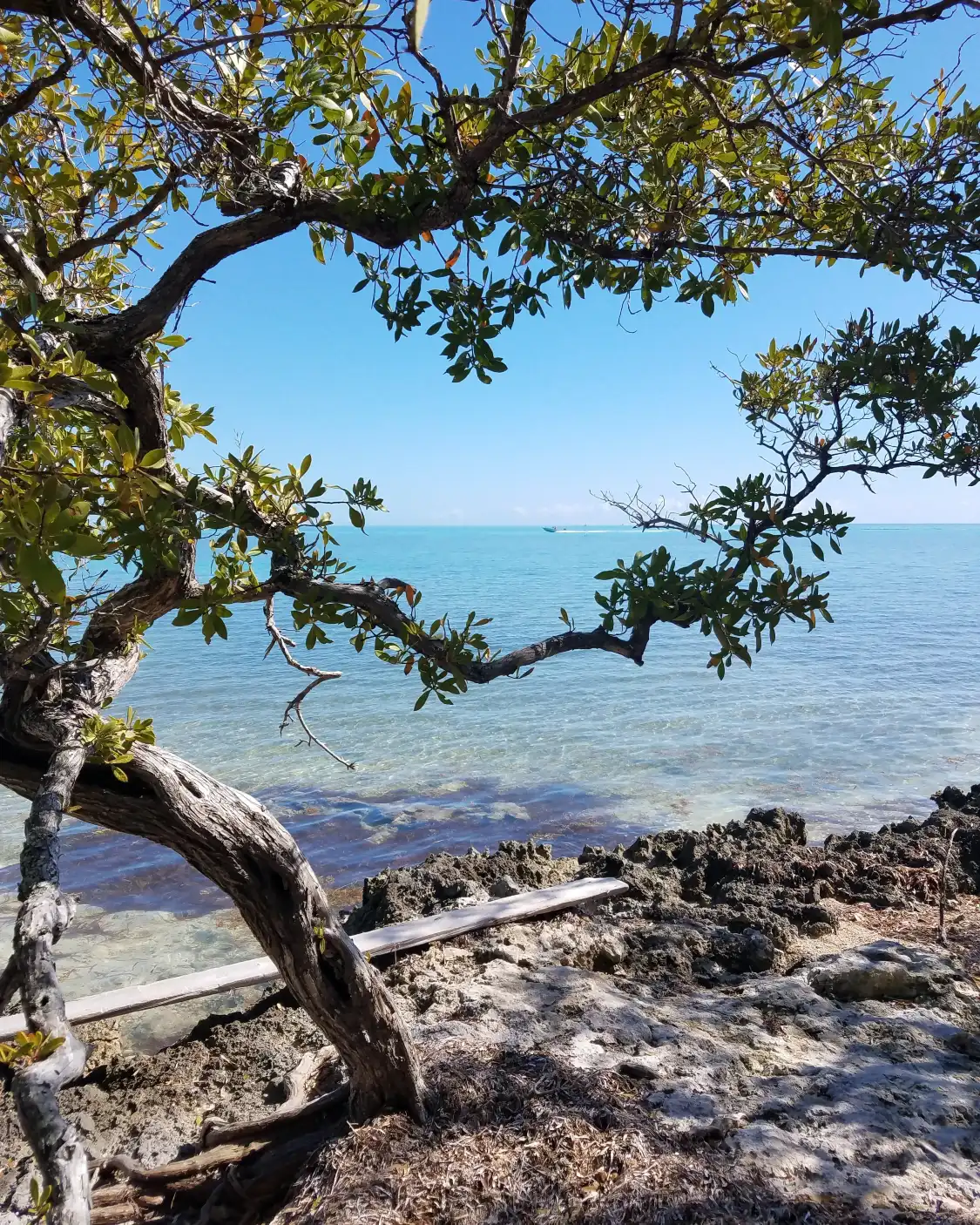Các khách sạn gần Lignumvitae Key Botanical State Park