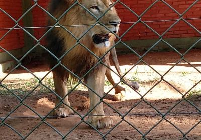 Parque Zoologico Municipal de Bauru