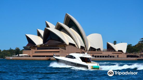 Sydney Harbour Hop-on Hop-off Cruise