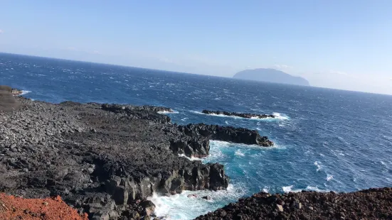 新鼻新山