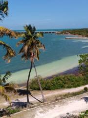 Calusa Beach & Loggerhead Beach