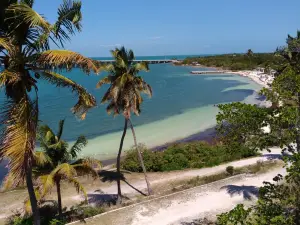 Calusa Beach & Loggerhead Beach