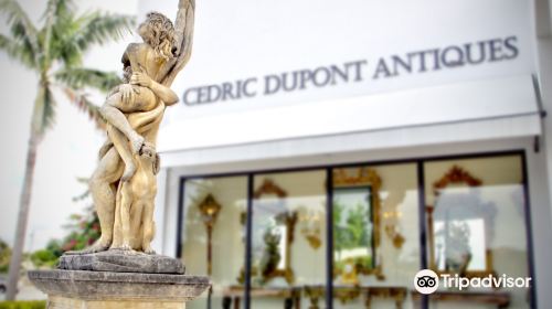 Cedric Dupont Antiques