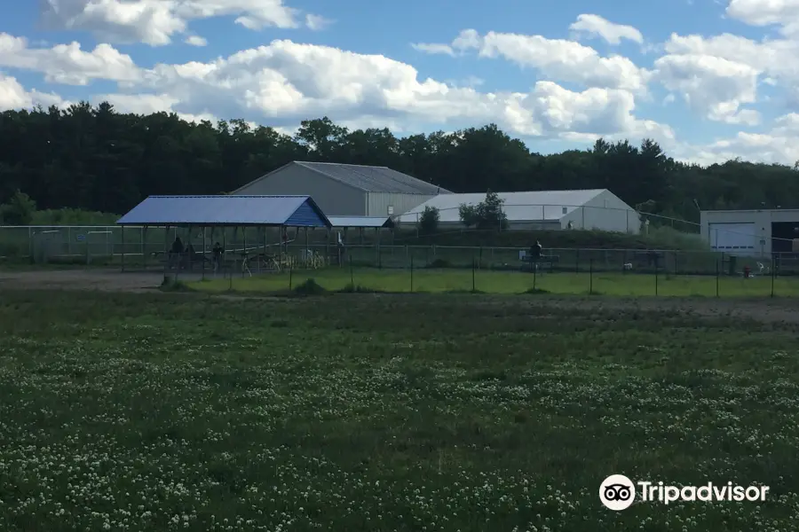 Chelmsford Dog Park