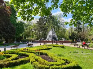 Park. Casimir the Great