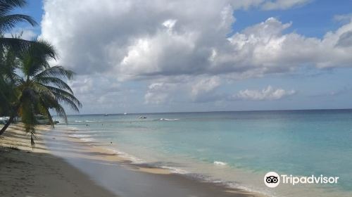 Sandy Lane Beach