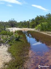 Dune Shacks Trail