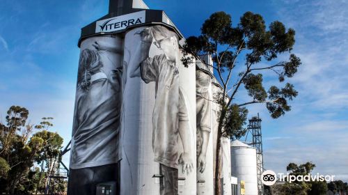 Coonalpyn Silo Mural