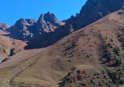 Toktogul