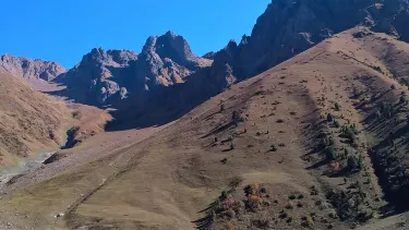 Toktogul