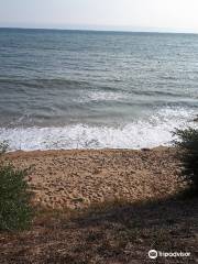 Plage du boisvinet