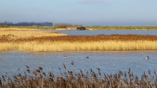 RSPB Titchwell Marsh