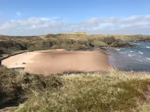 Forvie National Nature Reserve