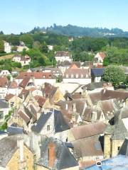 Sarlat Vue du Ciel