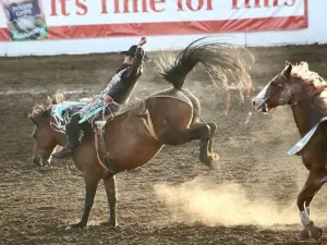 St. Paul Rodeo