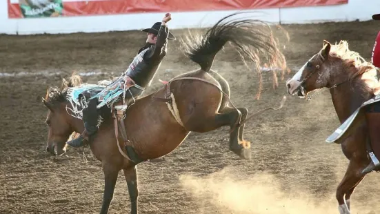 St. Paul Rodeo