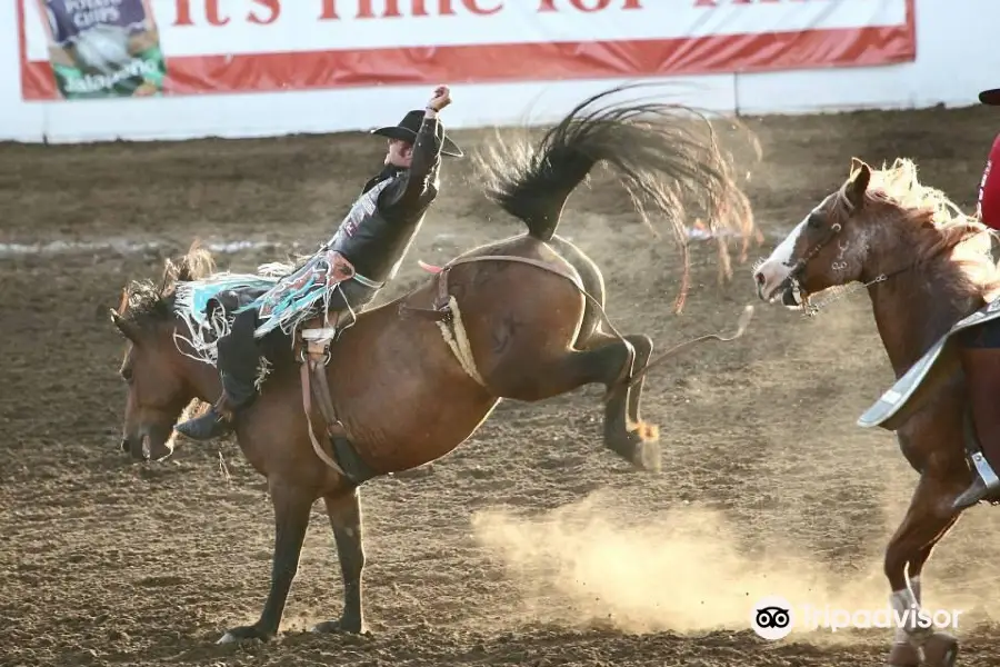 St. Paul Rodeo